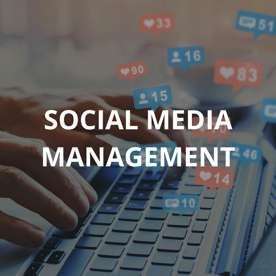 Social Media Management - Sand and Sun Social